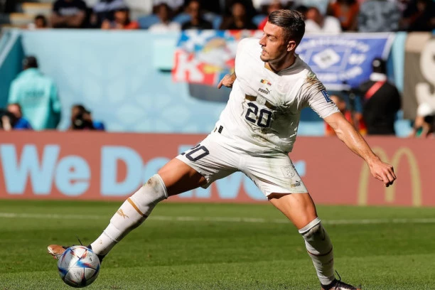 NISMO ISTI! Srbija je iznad svega! NašI sportisti odani do sržI, stranci "dezertiraju" zbog ličnih potreba