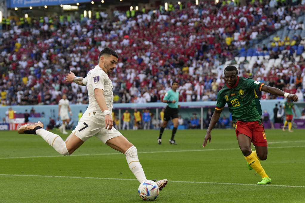 Detalj sa utakmice Srbija - Kamerun