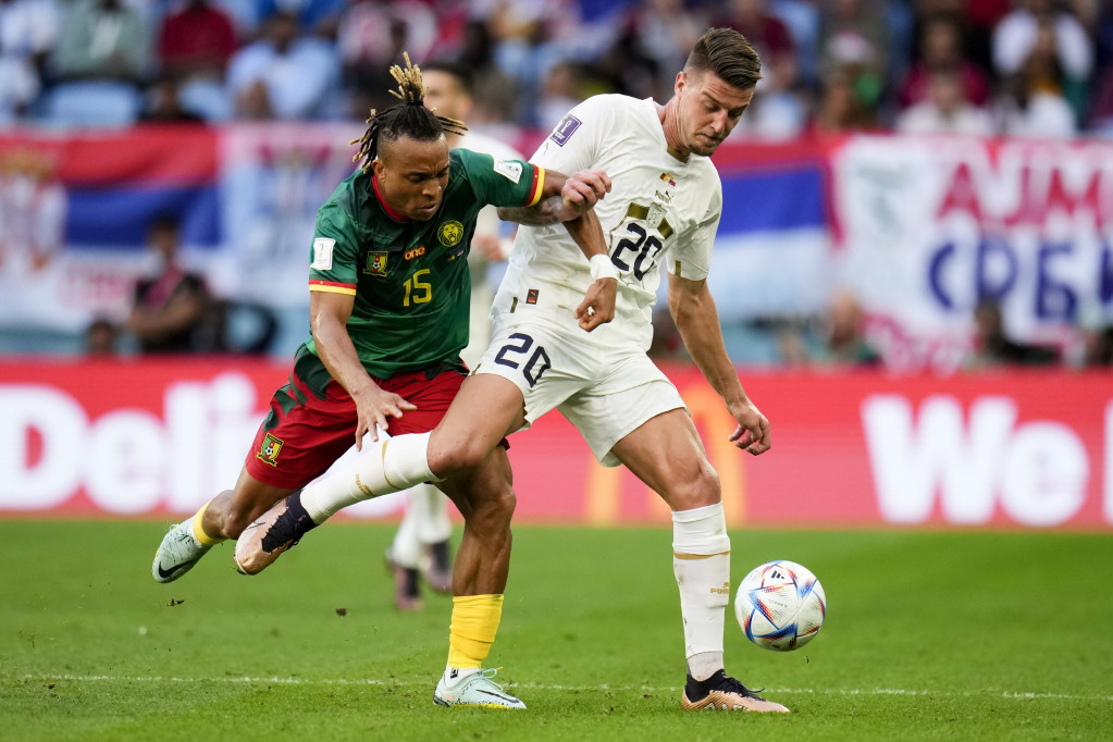 Detalj sa utakmice Srbija - Kamerun