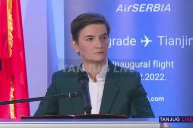 Brnabić: Nije mi jasno zašto se Fridrih Ebert bavi osnivanjem ZSO
