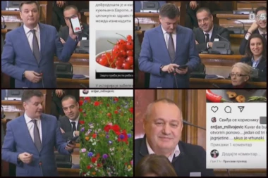 SMEHOTRESNO: SKUPŠTINA SE SPRDA S POSLANIKOM DS! Milivojević krade tuđe slike, pa se hvali da su njegove (VIDEO)