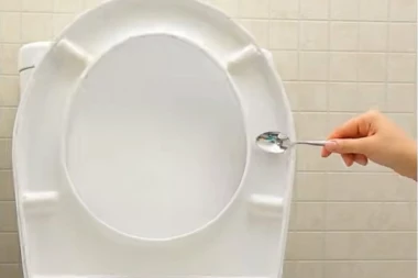 ZALEPILA JE KAŠIKU NA WC ŠOLJU I REŠILA JE PROBLEM OD KOGA SE ŽENAMA DIŽE KOSA NA GLAVI!