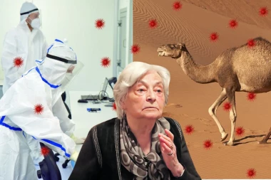 TREBA LI SRBI DA SE PLAŠE KAMILJEG GRIPA? Dr Ana Gligić otkriva šta će se desiti ako ga "uvezemo" dok traje korona - nije nemoguće zaraziti se, ali...