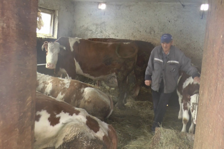 Milorad Krunić na svom imanju 