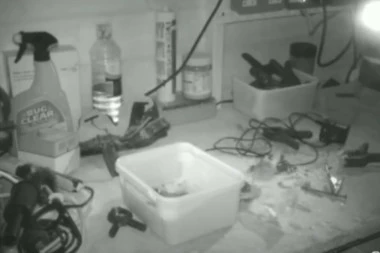 MISLIO DA JE POLUDEO! OSTAVLJAO HAOS U ŠUPI, A SVAKO JUTRO GA SVE DOČEKALO NA SVOM MESTU! Kada je POSTAVIO KAMERU imao je ŠTA i da VIDI! (VIDEO)