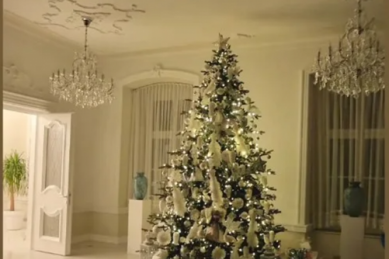 Dragana Mirković Instagram 