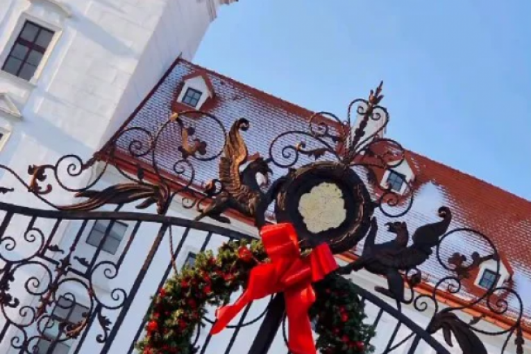 Dragana Mirković Instagram 