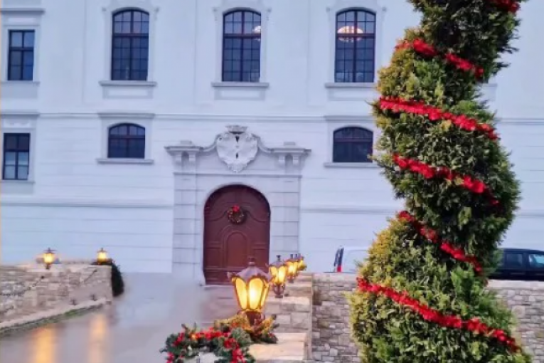 Dragana Mirković Instagram 