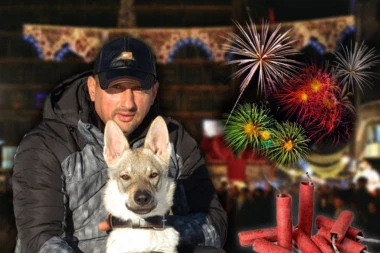 NOVOGODIŠNJA BUKA PLAŠI VAŠE LJUBIMCE! Pažnja: Stručnjak za dresuru otkriva JEDAN NAČIN da im pomognete - tajna je U HRANI (FOTO)