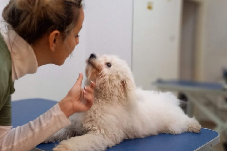 Branka Bojić kao grumer