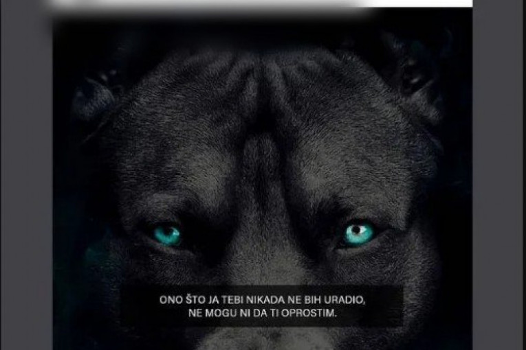 Ana Slavnić Instagram