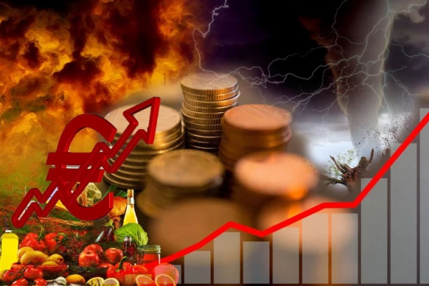 ŠOK PODACI IZ NEMAČKE: Cene hrane idu u ambis! (FOTO)