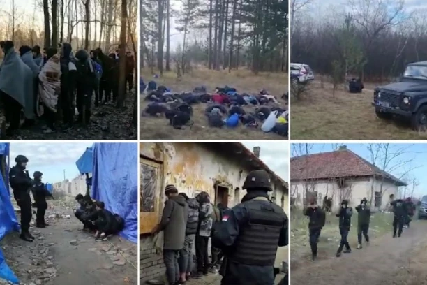 DRAMATIČAN SNIMAK HAPŠENJA MIGRANATA KOD SUBOTICE: Pripadnici MUP upali u kamp u šumi, a onda... (VIDEO)