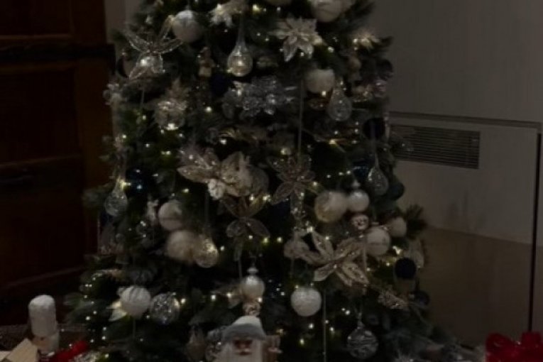 Sofija Milošević okitila kuću za novogodišnje i božićne praznike