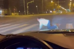 ŠOKANTAN PRIZOR NA ULICAMA BEOGRADA! Čovek prelazi ulicu PUZEĆI! (VIDEO)