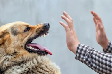 DEČAK (11) PREMINUO ZBOG UJEDA PSA! Mesec dana živeo u PAKLU, ovo ga je DOKUSURILO!