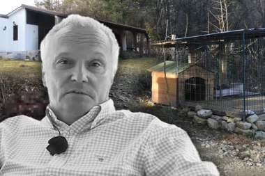 OGLASIO SE MUP POVODOM HAPŠENJA ŽENE KOJA JE ČUVALA PSE NA KOSMAJU: Nije obezbedila kavez!