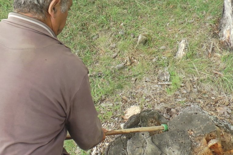 Katrandžija Ljubenko Radović 