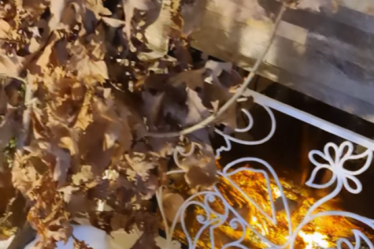 Badnjak pored kamina