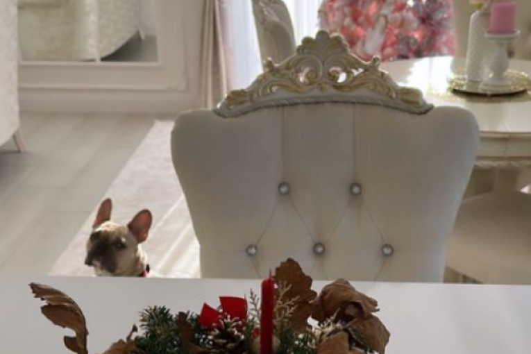 Dom Stanije Dobrojević