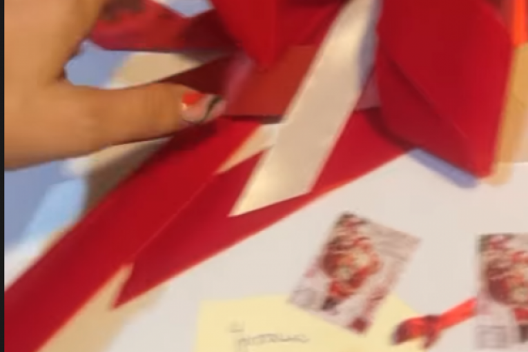 Jovana Jeremić dobila poklon