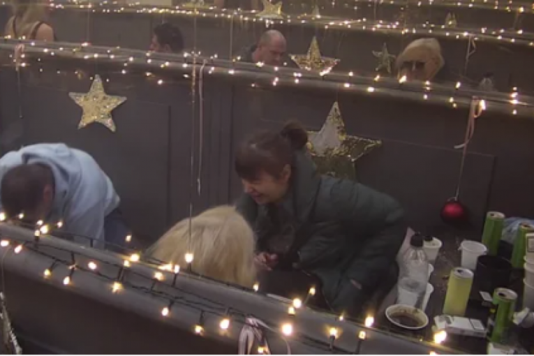 Miljana Kulić Zadruga 6