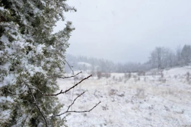 SNEG PAO U SRBIJI! Zabeleo se OVAJ deo zemlje! (FOTO)