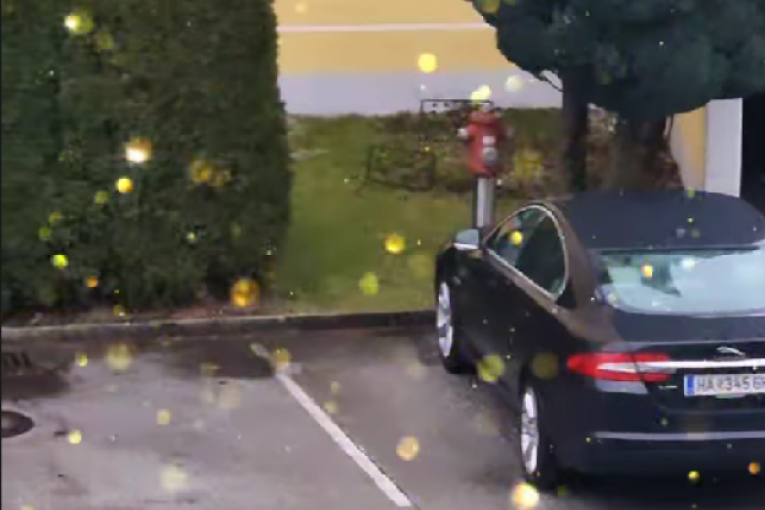 Milan Milošević Instagram