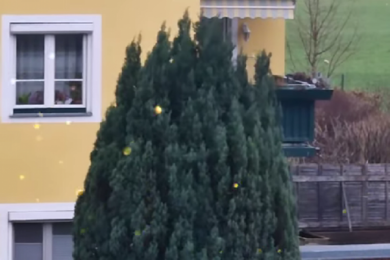 Milan Milošević Instagram