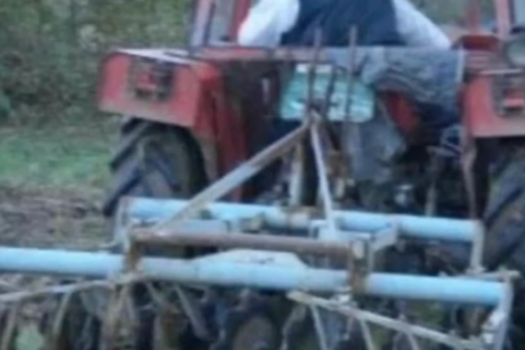 Nenad Macanović Bebica pre "Zadruge"