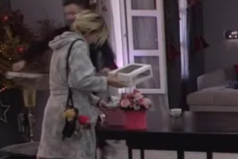 Aleksandra Nikolić Zadruga 6