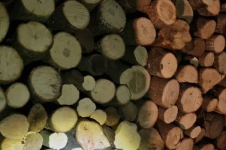 Milan Topalović Topalko Instagram