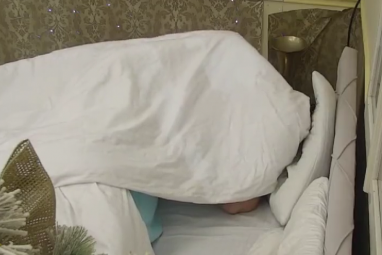 Miljana Kulić oralno zadovoljila Zolu Zadruga 6