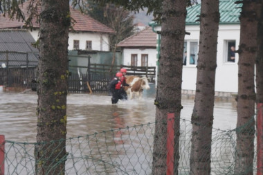 SVE JE KRITIČNIJE! VANREDNA SITUACIJA I U SJENICI: Izlila se reka Grabovica - poplavljeno 40 objekata u centru grada!