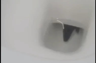 BRITANSKI TURISTA SE ŠOKIRAO NAKON ODLASKA U TOALET: Otrovni gušter izronio iz wc šolje (VIDEO)