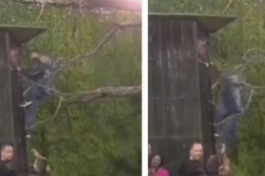NOVO BEKSTVO U ZADRUZI 6: Pojavio se šok snimak, zadrugar se popeo na kavez, kamere sve zabeležile! (VIDEO)