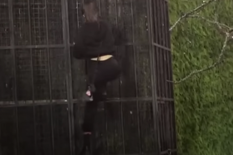 Anđela Đuričić beži iz Zadruge