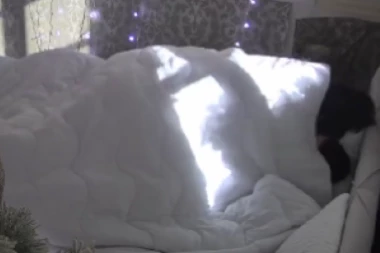 VRELA AKCIJA TRESE RAJSKO OSTRVO: Miksi i Zola zaljuljali jorgan planinu, sve puca!