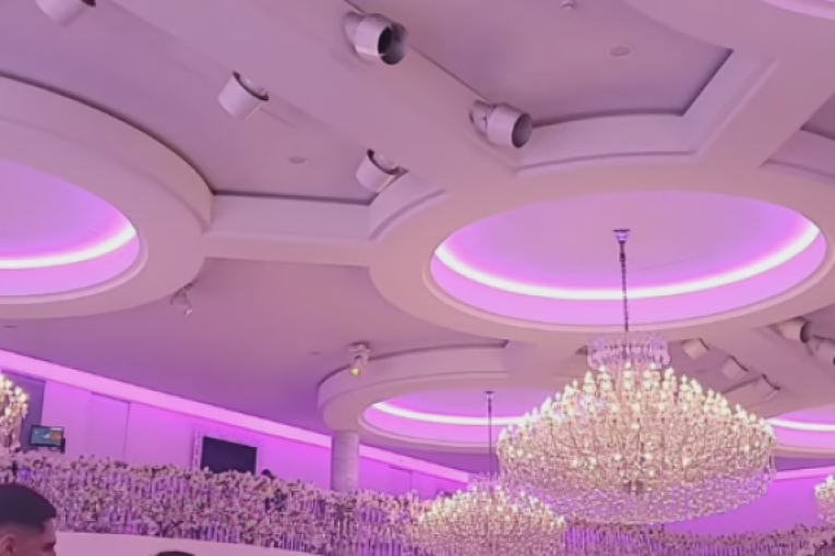 Viki Miljković Instagram