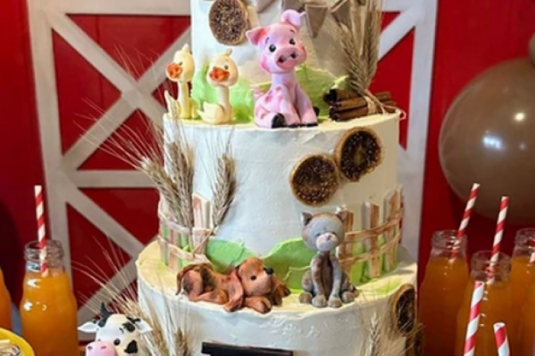 Seka Aleksić Instagram