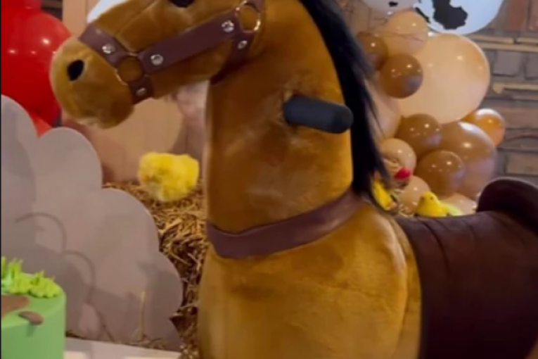 Seka Aleksić Instagram