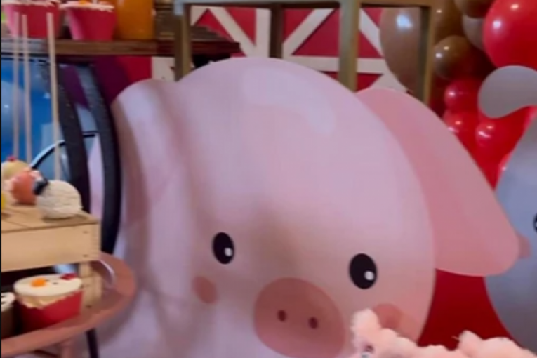 Seka Aleksić Instagram