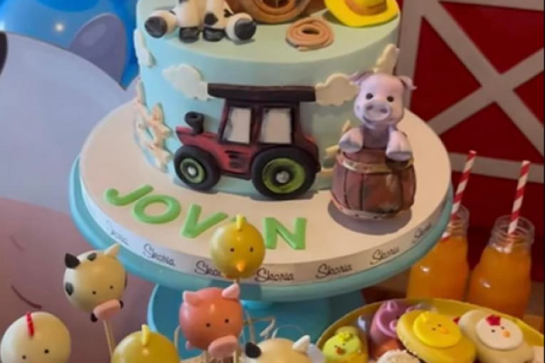 Seka Aleksić Instagram