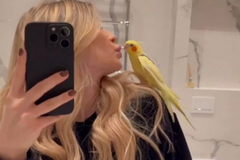 Stan Saške Veselinov i Đorđa Đokovića