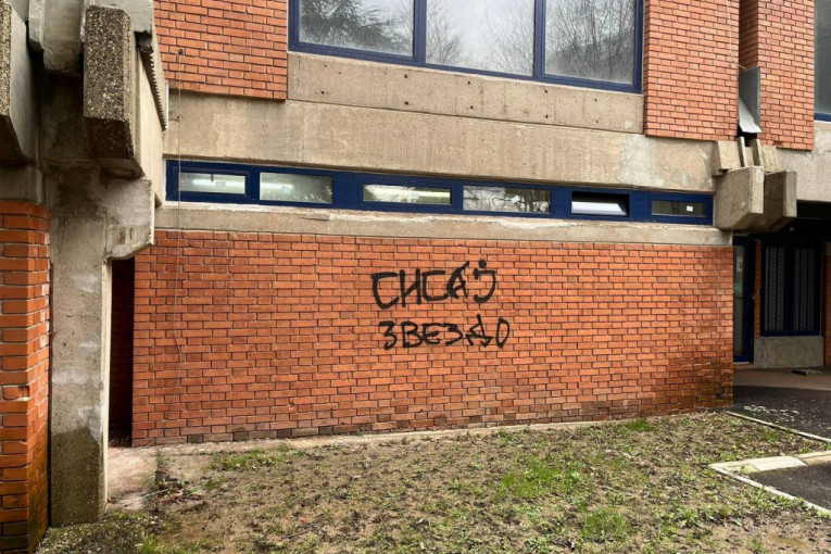 Vandali uništili Pionir