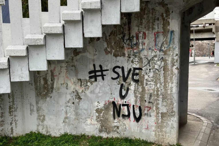 Vandali uništili Pionir