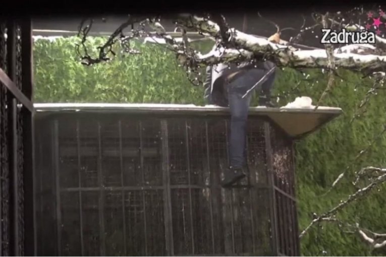 BEBICA ZVANIČNO POBEGAO IZ ZADRUGE 6: Preskočio ogradu, čeka se diskvalifikacija! (VIDEO)