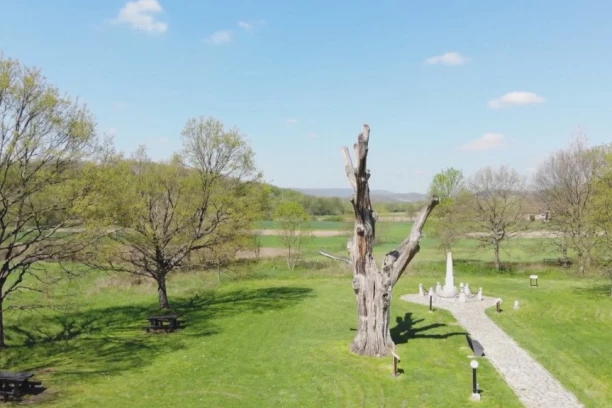 PROKLETSTVO STAROG HRASTA U TAKOVU: Drvo predvidelo sve loše što se desilo dinastiji Obrenović, pa i pad Slobodana Miloševića - MISTERIJA svetog grma (FOTO)