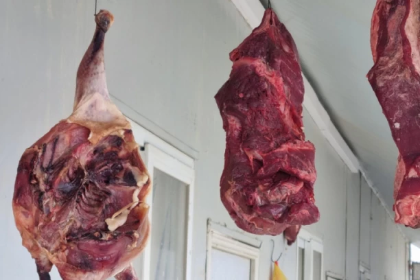 MESO UGINULIH ŽIVOTINJA MOŽE I DA VAS UBIJE! Oglasila se doktorka posle vesti da su dvojica Subotičana ljudima prodavali meso sa stočnog groblja!