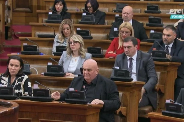 PALMA: DANAS POSLATA RUŽNA SLIKA IZ SKUPŠTINE SRBIJE! Od nje koristi imaju samo Kurti i deo međunarodne zajednice